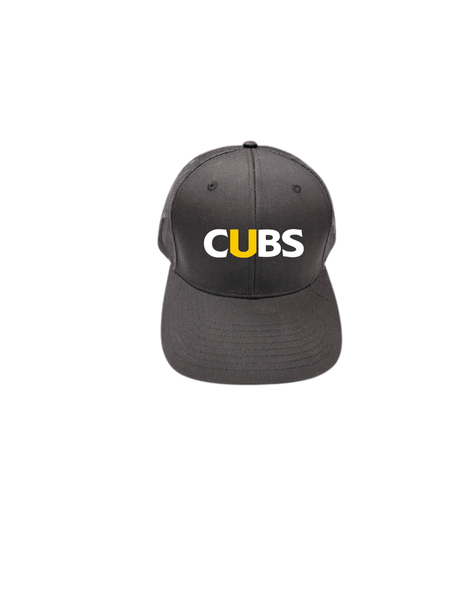 PRE-ORDER- CUBS Richardson 112 Hat