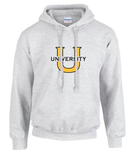 University Hoodie Sweatshirt in Ash Grey